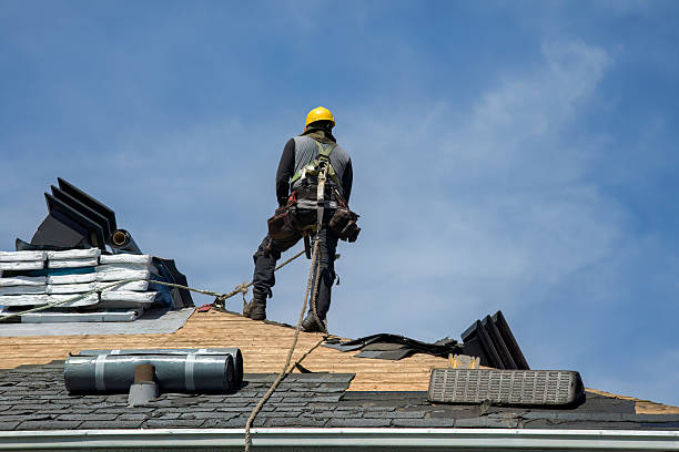 Professional Flat Roof Repair technician working in Dana, IA
